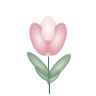 화이트 튤립